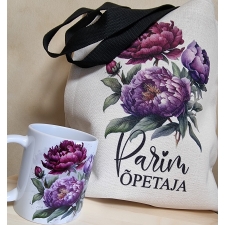 Komplekt Õpetaja